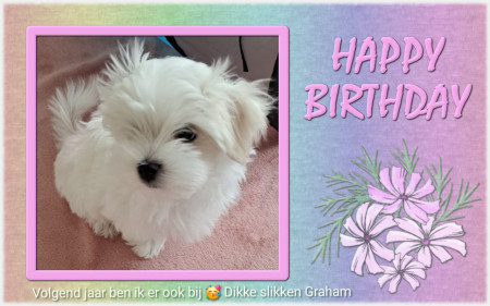 25-9-25 verjaardags kaart voor mama